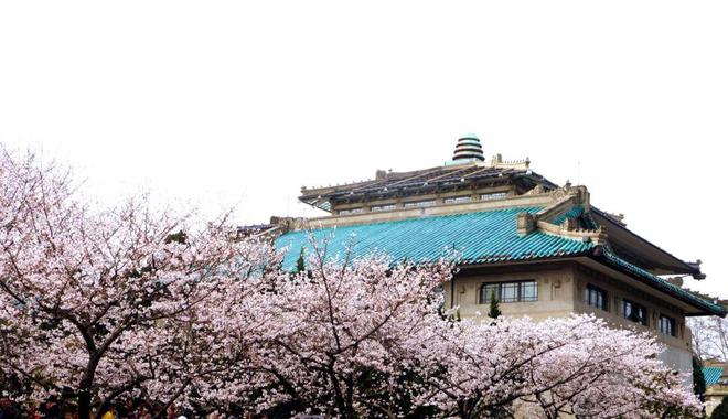 狮子精品夏令营 探访武汉大学、华中科大参观黄鹤楼、湖北省博物馆春假爆款武汉名校夏令营开启报名(图12)